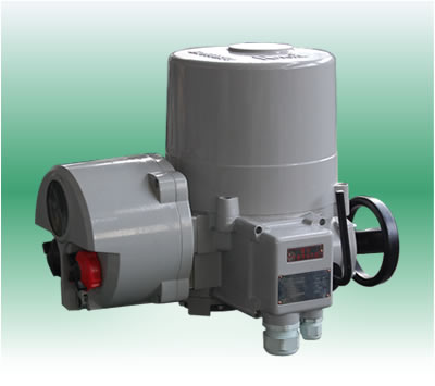 英国罗托克执行器 角行程电动执行机构